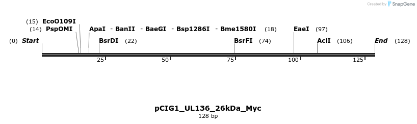 146661_map