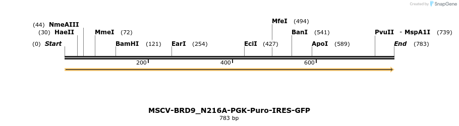 146671_map