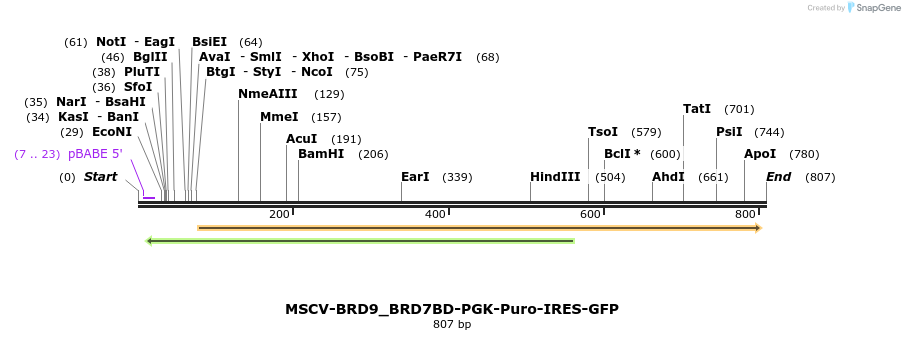 146675_map