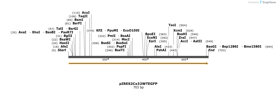 146678_map