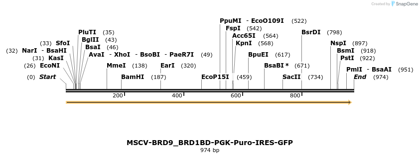 146680_map