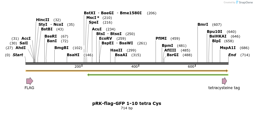 146687_map