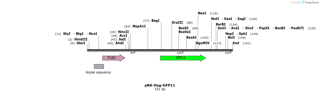 146688_map