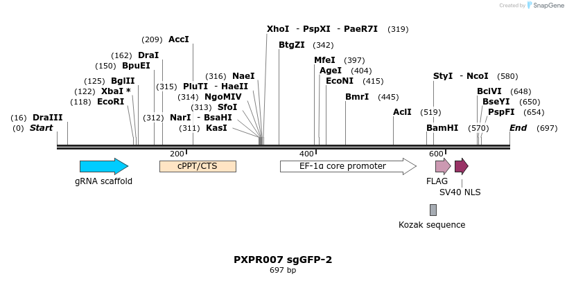 146697_map