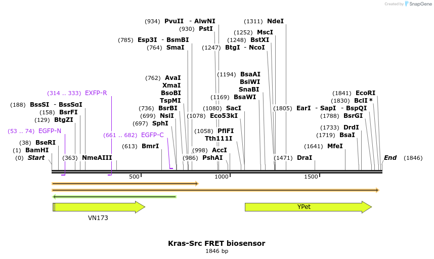 146707_map