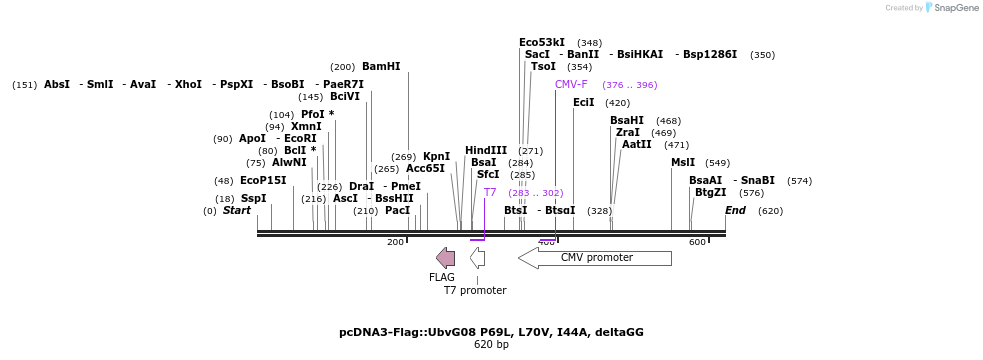 146716_map