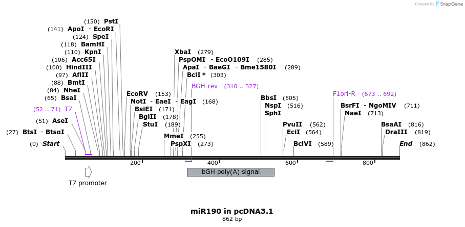 146717_map
