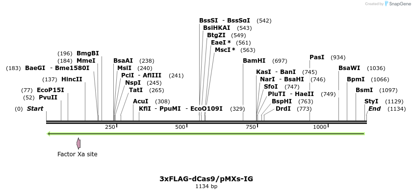 146729_map