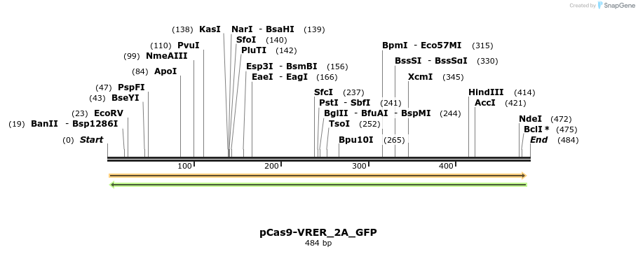 146731_map