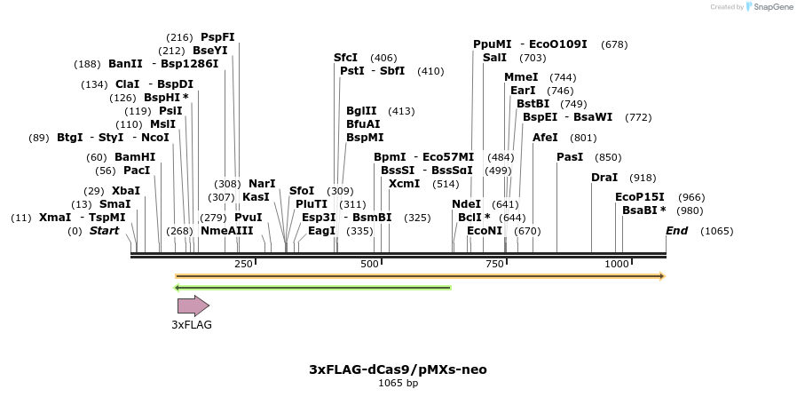 146736_map