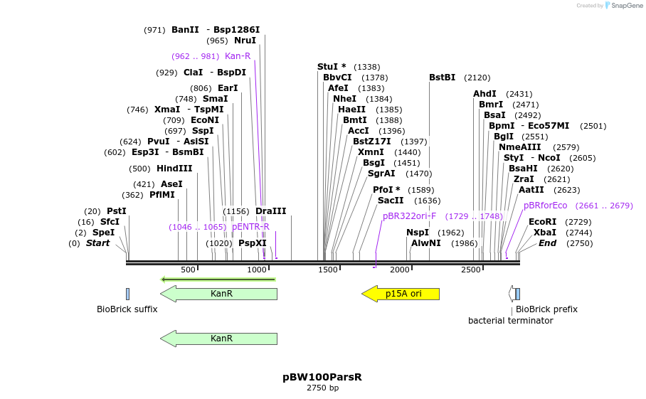 146744_map