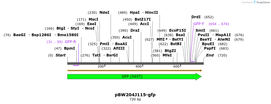 146759_map