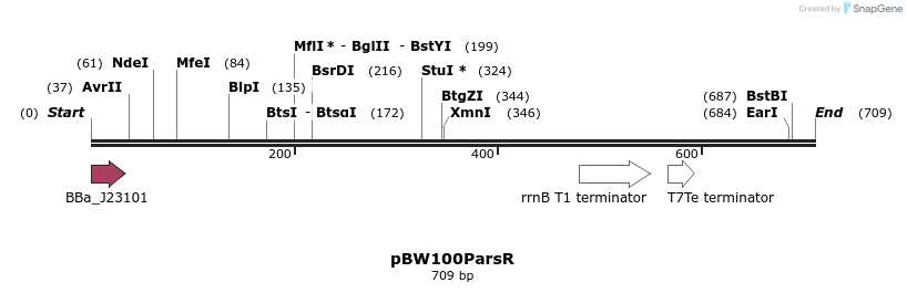 146782_map