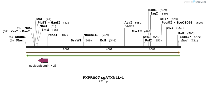 146785_map