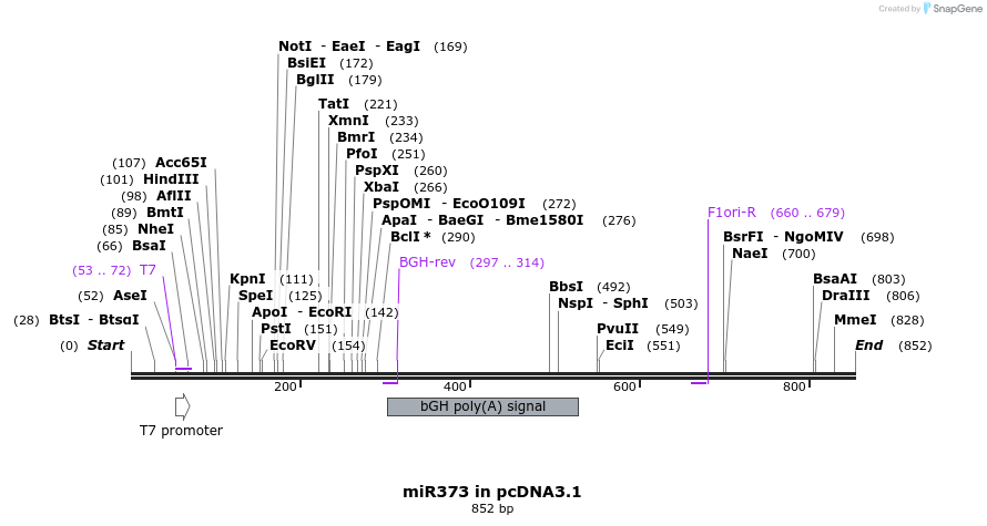 146795_map