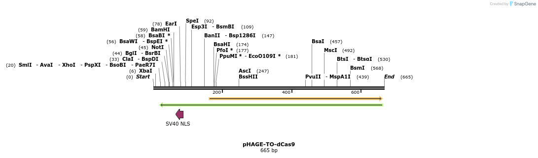 146798_map