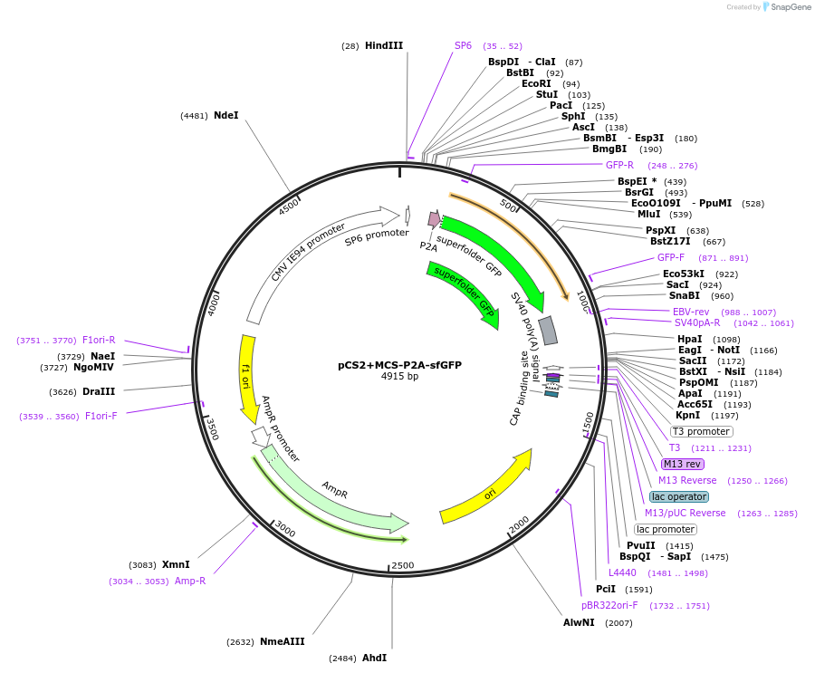 146800_map