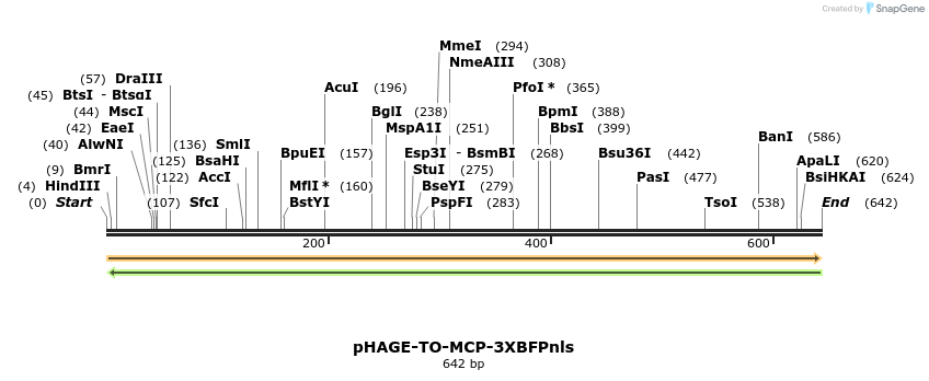 146801_map