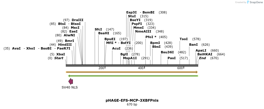 146803_map