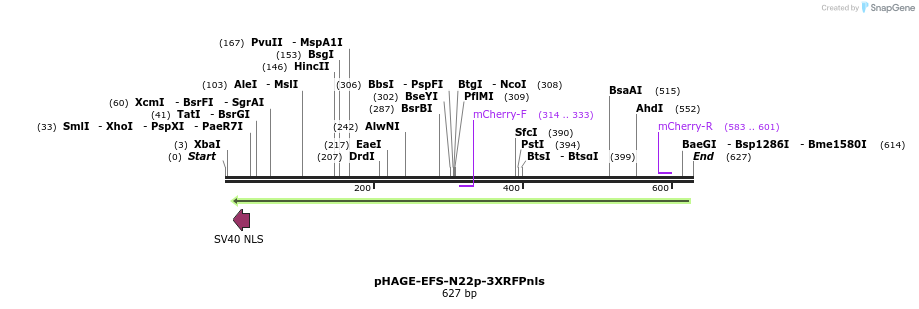 146806_map