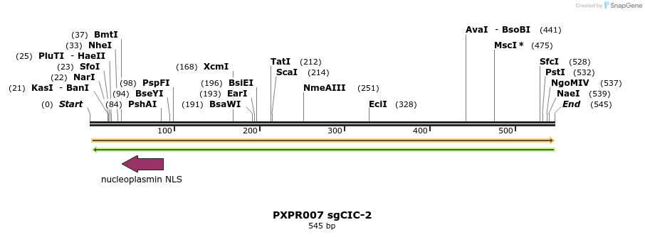 146808_map
