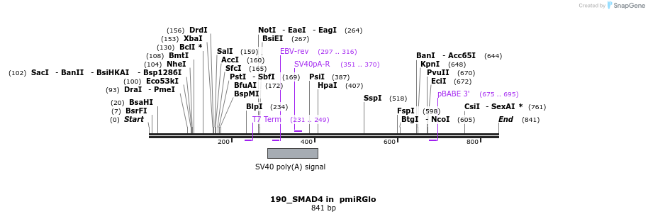 146812_map