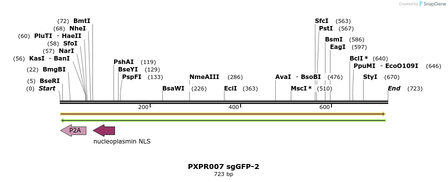 146813_map