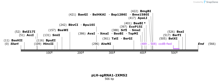 146814_map
