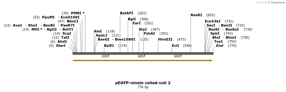 146816_map