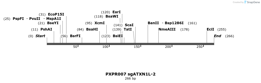 146818_map