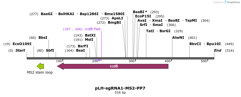 146820_map