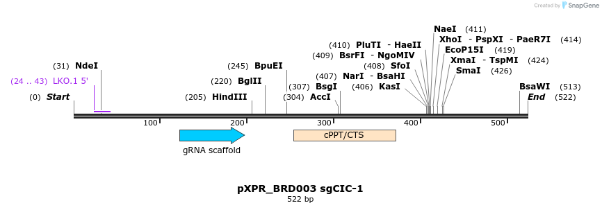 146830_map