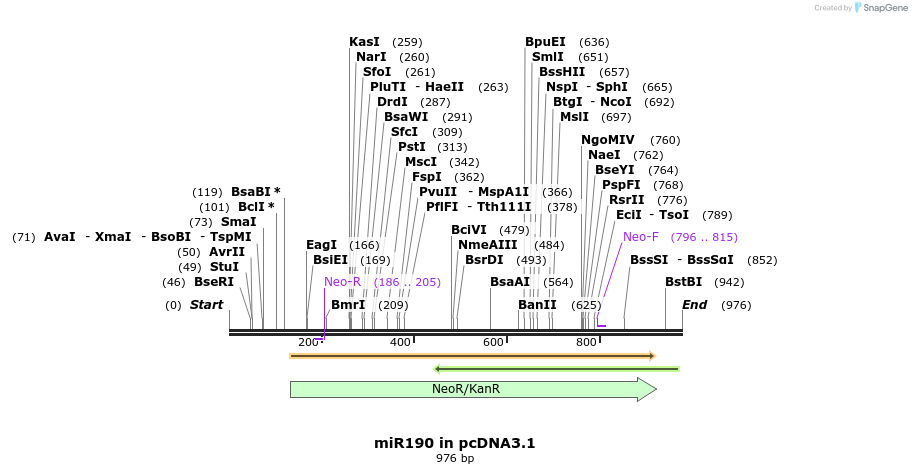 146843_map