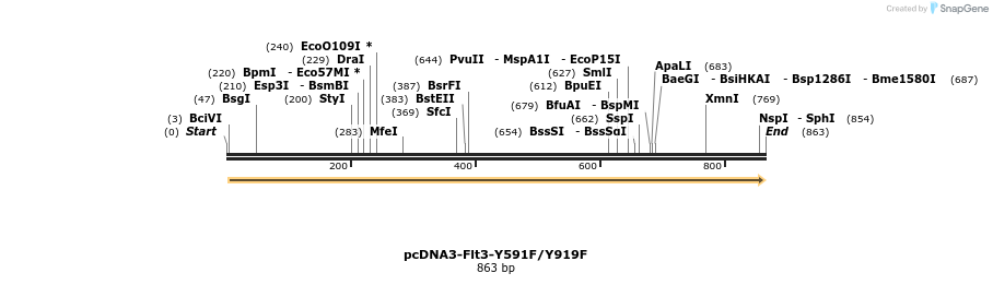 146844_map