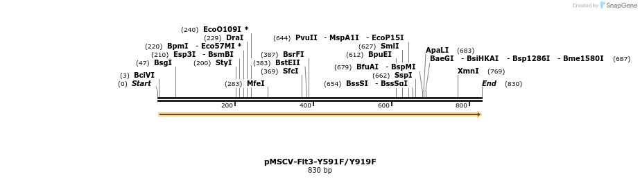 146847_map