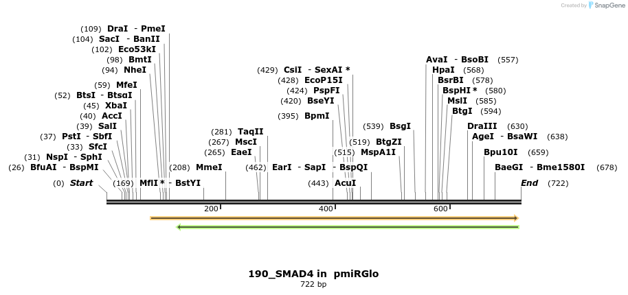 146863_map