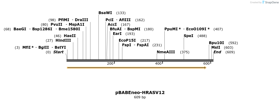 146870_map