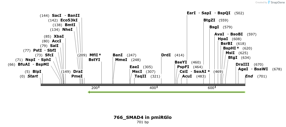 146874_map
