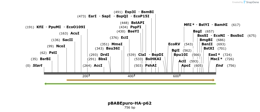 146879_map
