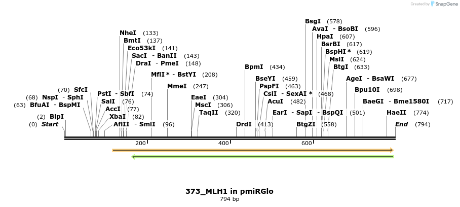 146890_map