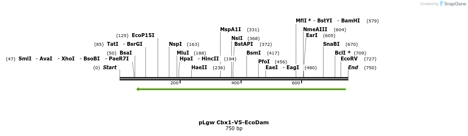 146897_map