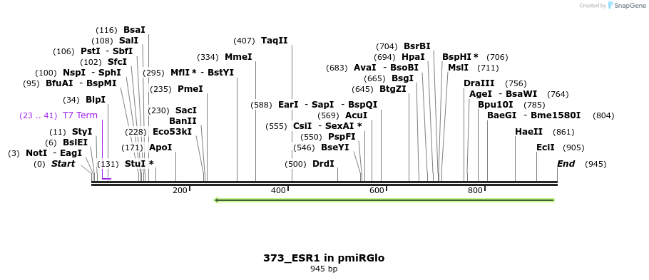 146898_map