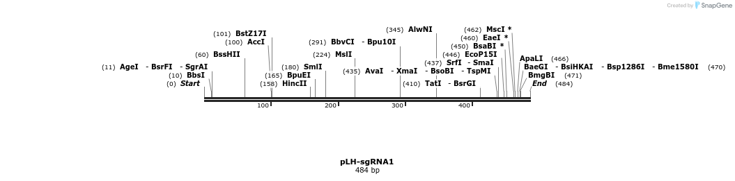 146901_map