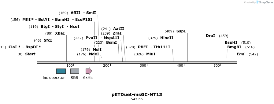 146903_map