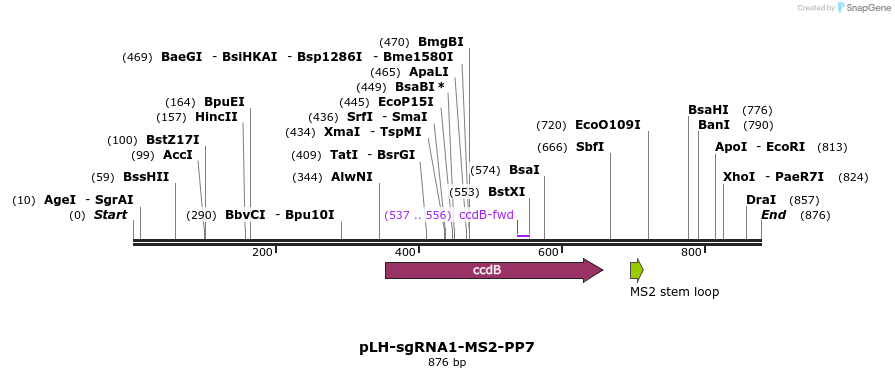146904_map