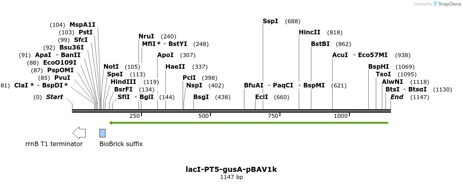 146913_map
