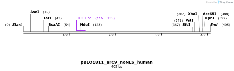 146919_map