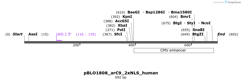 146926_map