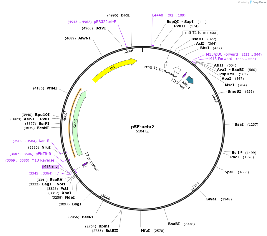146928_map