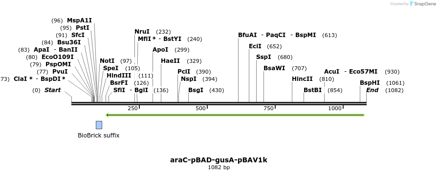 146936_map